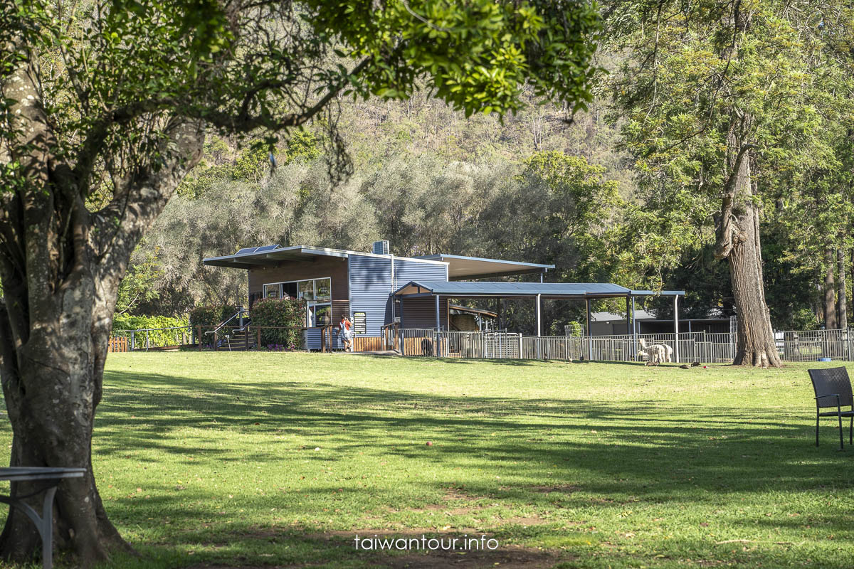 【澳洲西達藍光螢火蟲洞/Cedar Creek Estate酒廠/羊駝農場】農場景點推薦