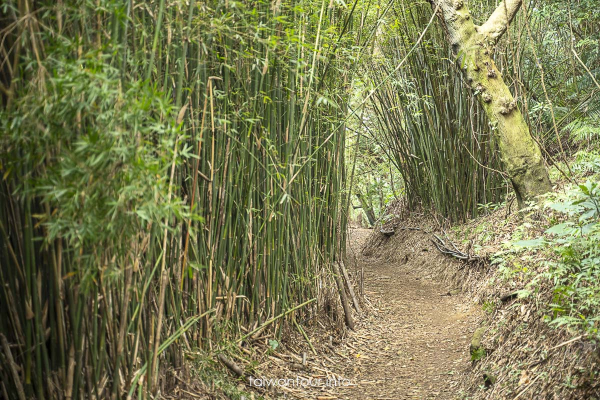 隱身台北的百年竹林古道，搭公車就能輕鬆抵達，終點是輕鬆好拍又好走，很適合親子健行，Google高達4.4顆星！ 【橫嶺古道】陽明山古道怎麼去.交通.停車場推薦