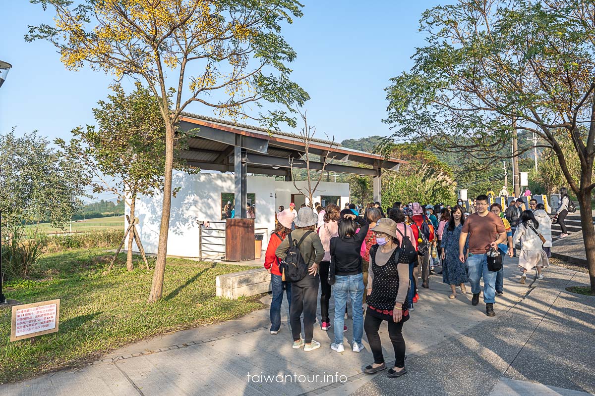 【大溪月眉人工濕地生態公園||落羽松大道】桃園景點交通.公車.停車