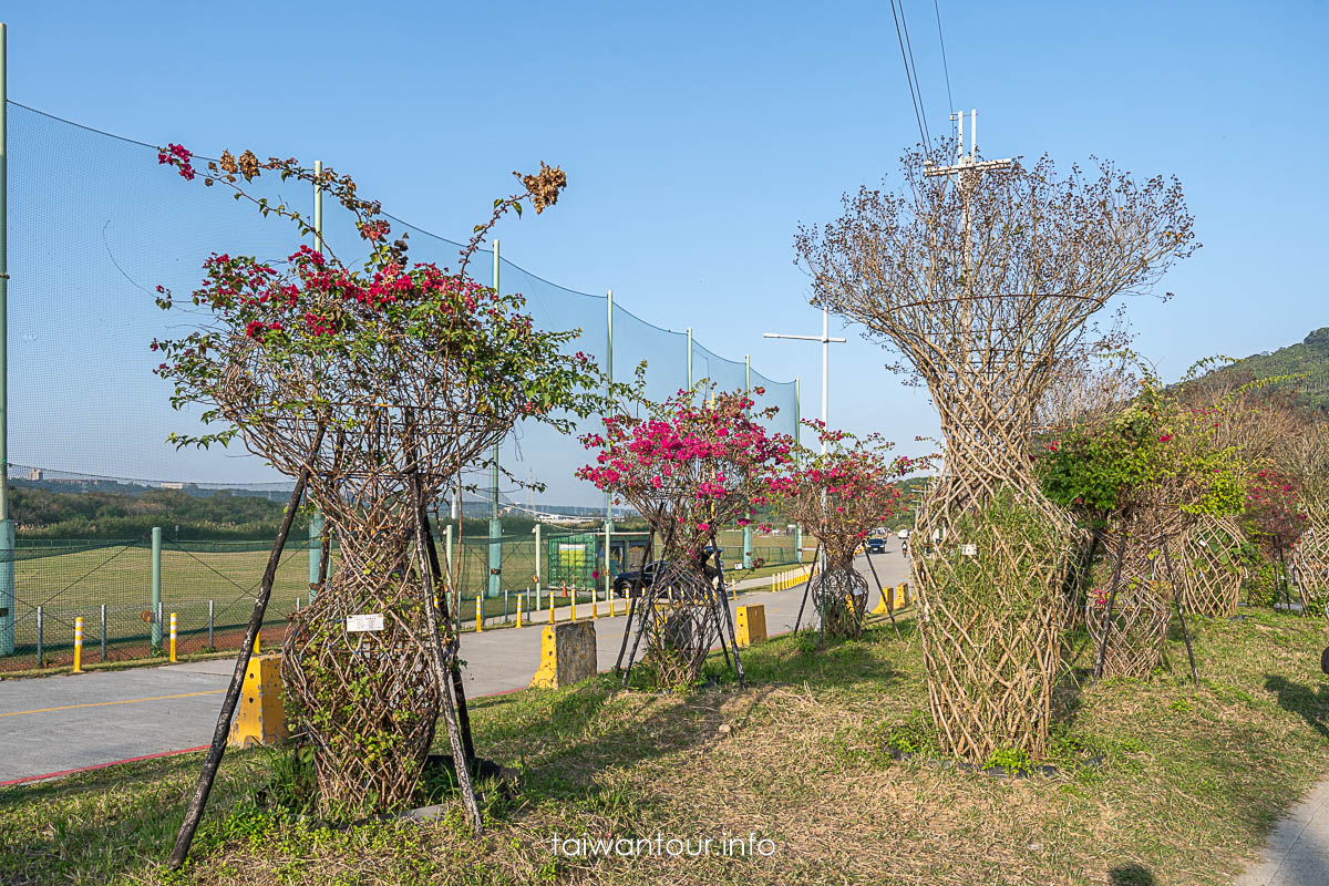 【大溪月眉人工濕地生態公園||落羽松大道】桃園景點交通.公車.停車