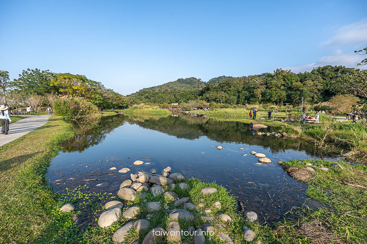 【大溪月眉人工濕地生態公園||落羽松大道】桃園景點交通.公車.停車