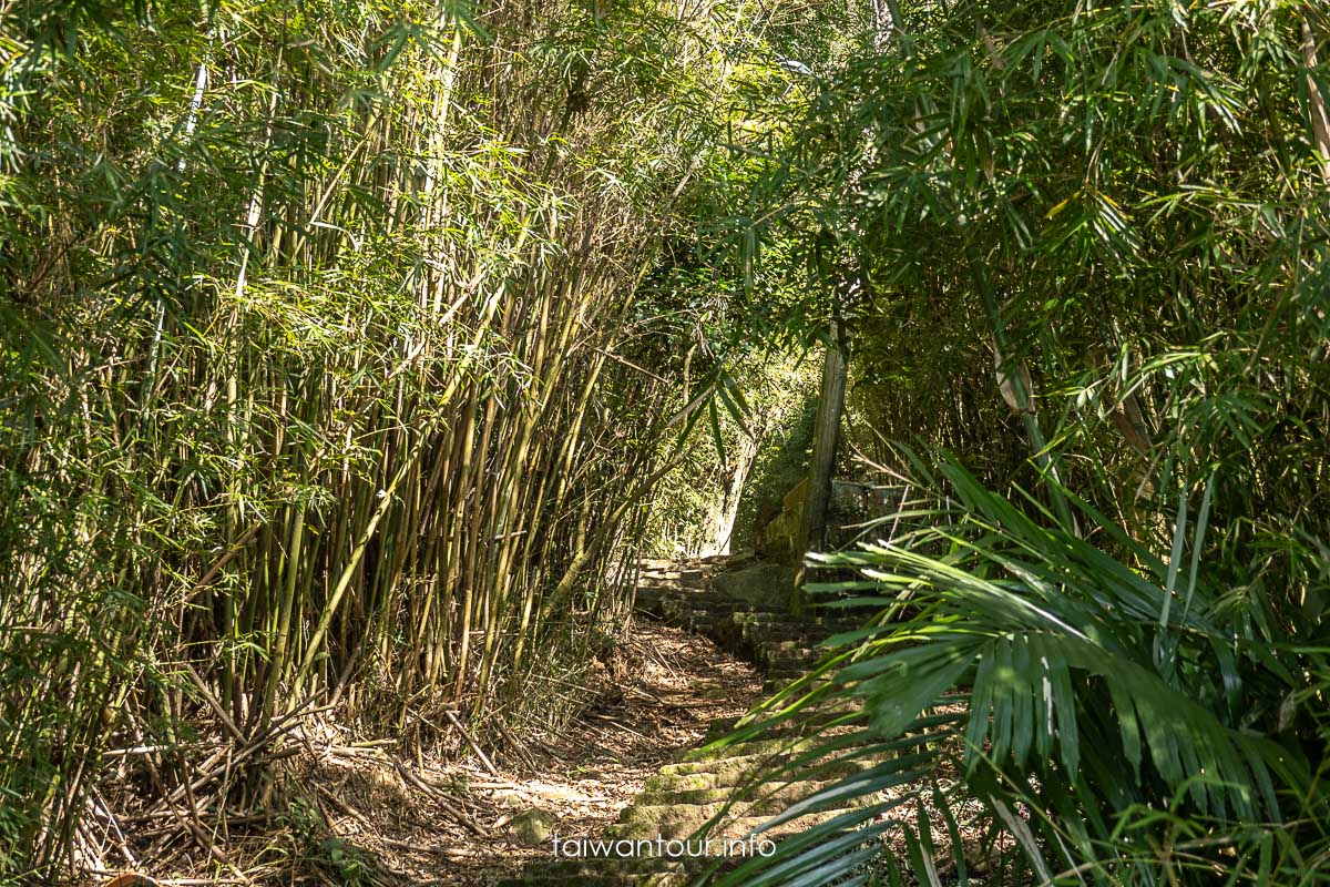 【中正山步道||大屯山系】北投景點推薦.路線圖.天氣