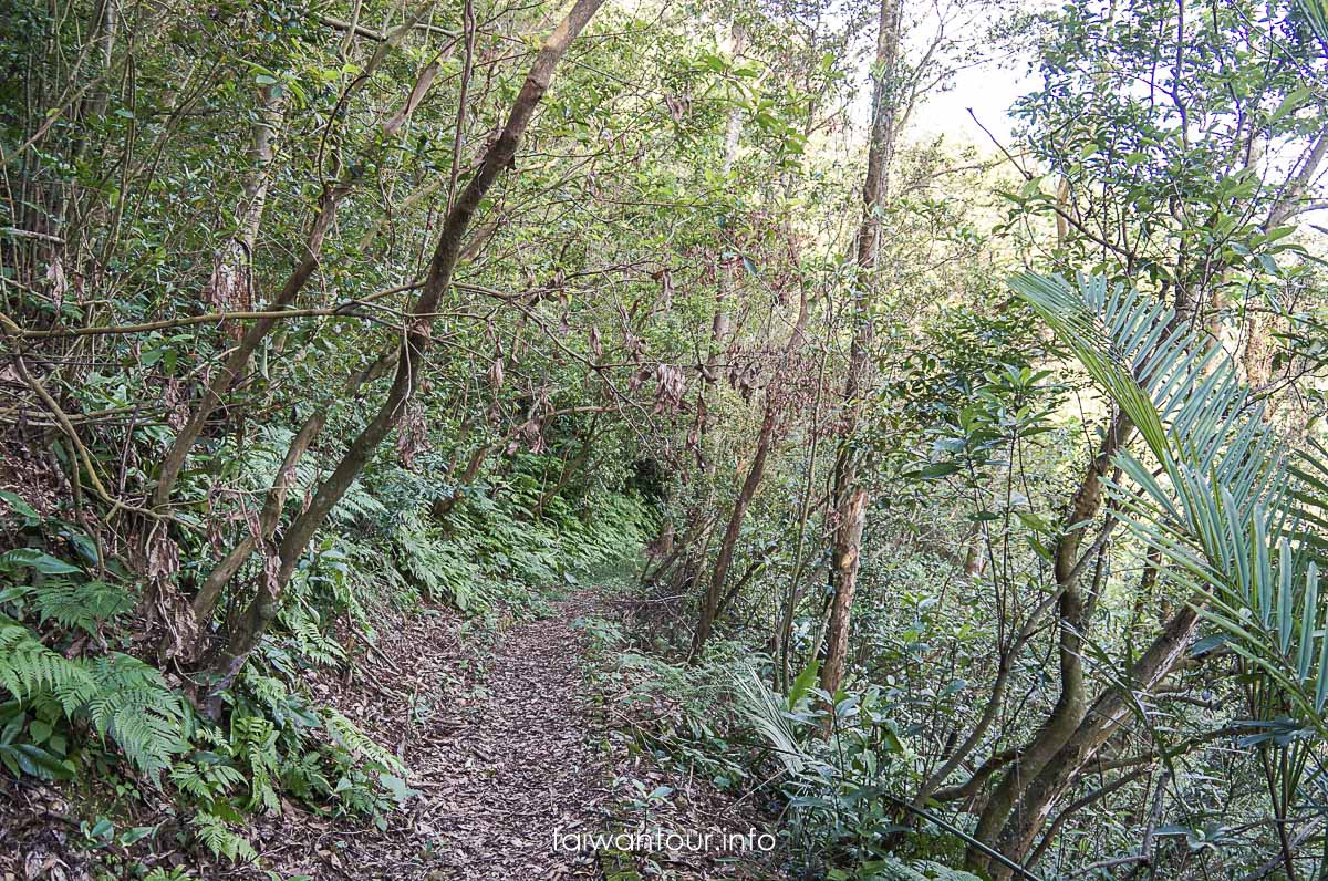 【隘勇古道】宜蘭員山鄉景點推薦秘境步道