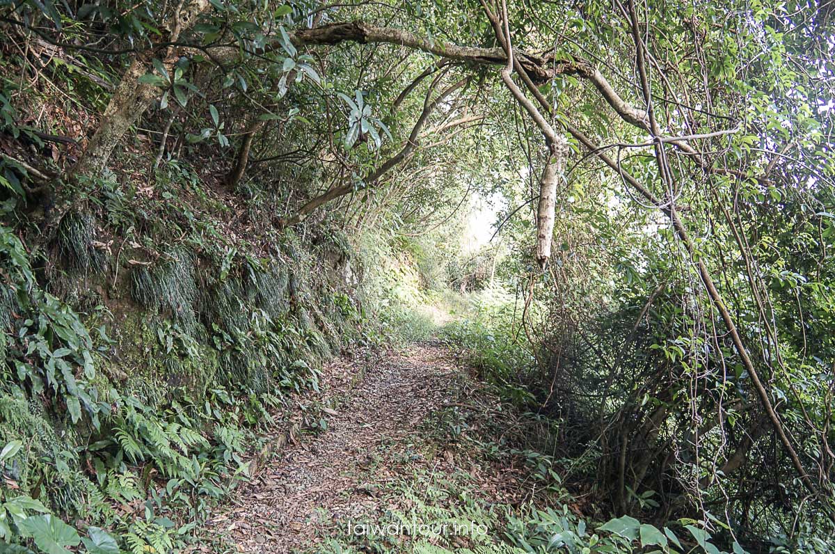 【隘勇古道】宜蘭員山鄉景點推薦秘境步道