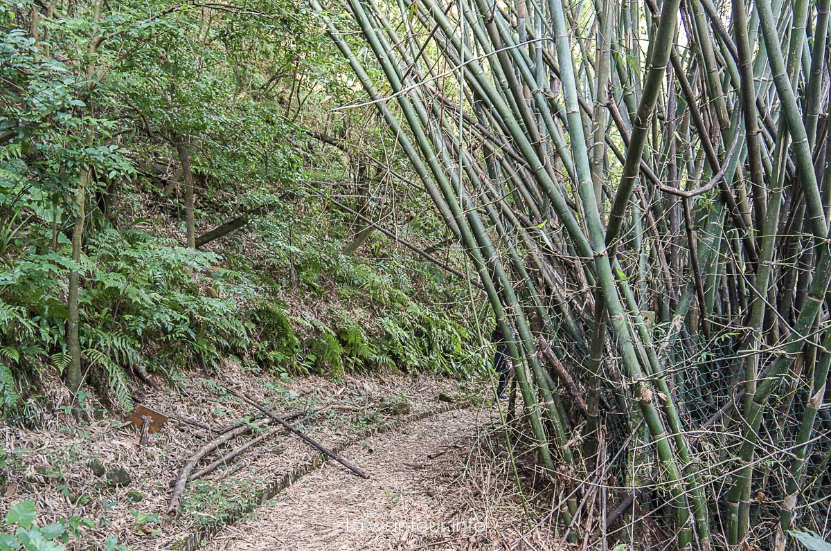 【隘勇古道】宜蘭員山鄉景點推薦秘境步道