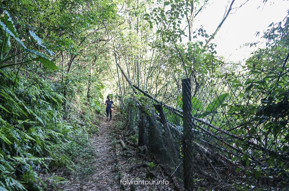 【隘勇古道】宜蘭員山鄉景點推薦秘境步道