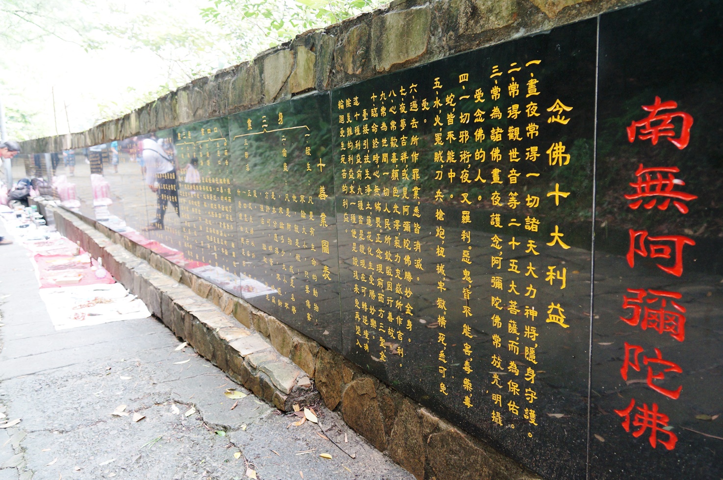 【桐花公園.承天禪寺】新北市土城油桐花景點推薦路線