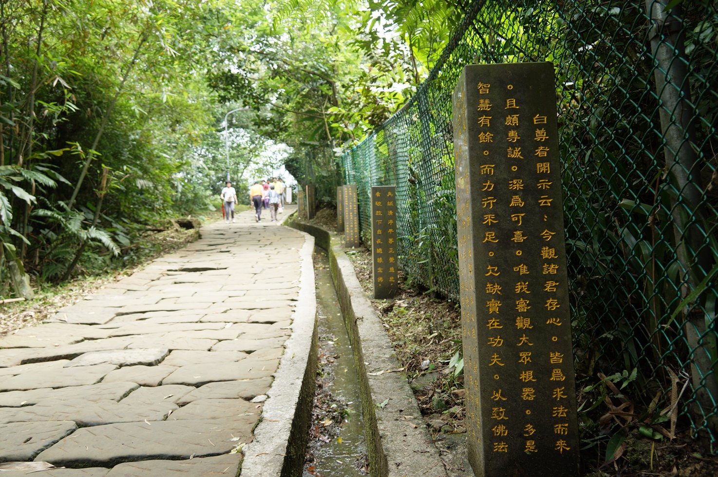 【桐花公園.承天禪寺】新北市土城油桐花景點推薦路線