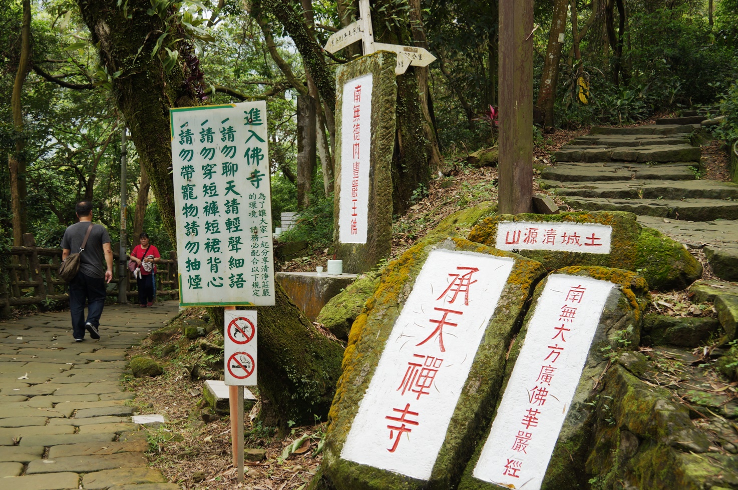 【桐花公園.承天禪寺】新北市土城油桐花景點推薦路線