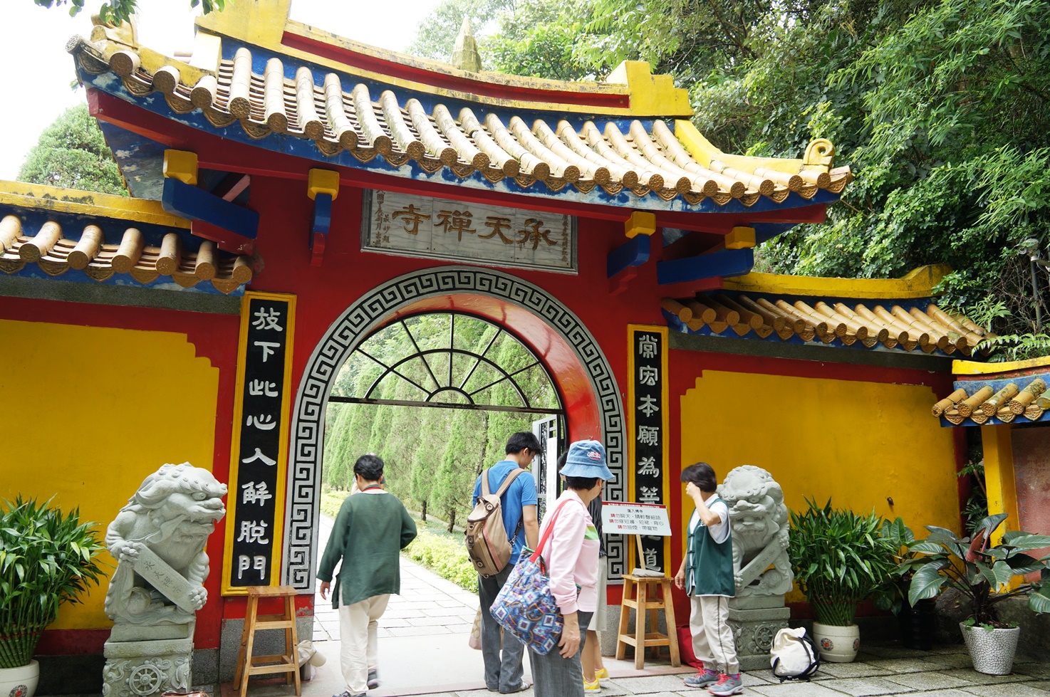 【桐花公園.承天禪寺】新北市土城油桐花景點推薦路線