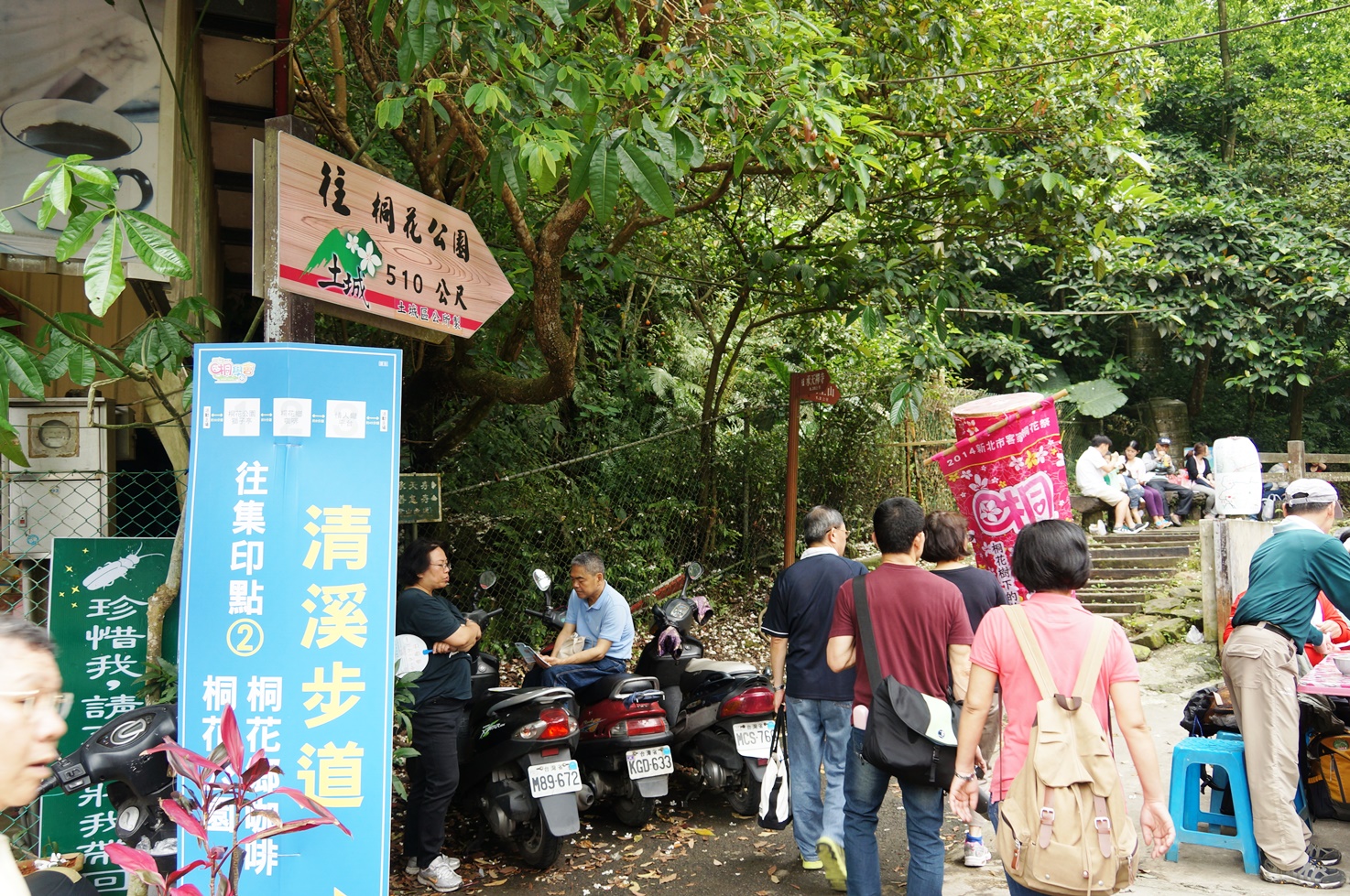 【桐花公園.承天禪寺】新北市土城油桐花景點推薦路線