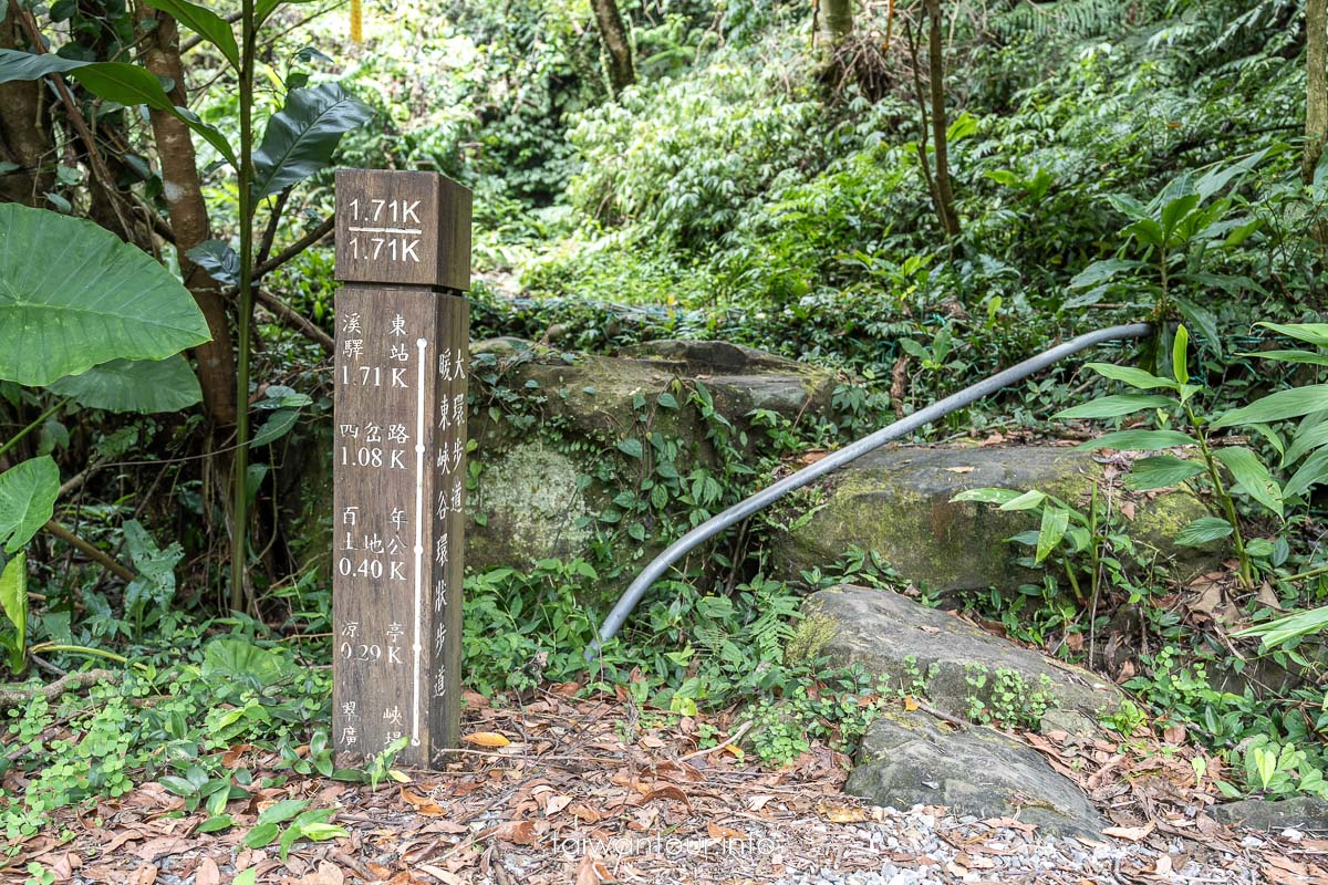 【暖東峽谷】基隆親子景點暖暖健行玩水秘境