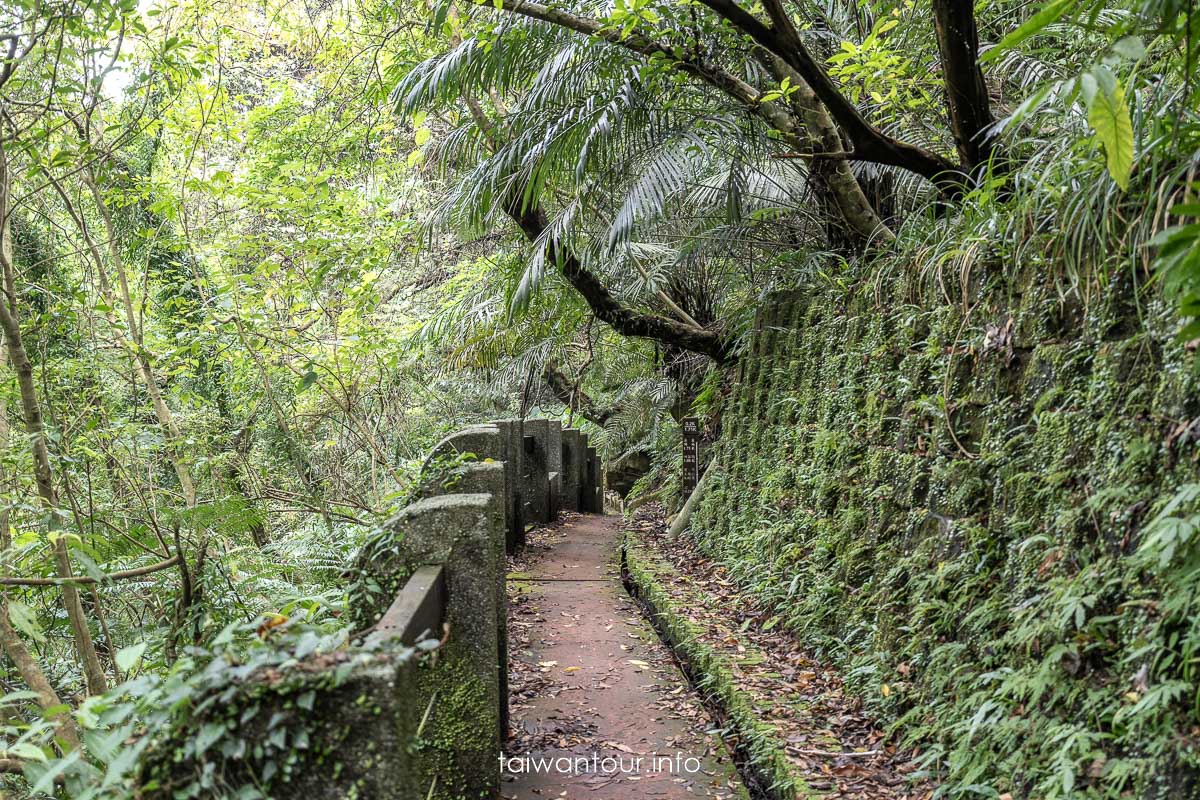 【暖東峽谷】基隆親子景點暖暖健行玩水秘境