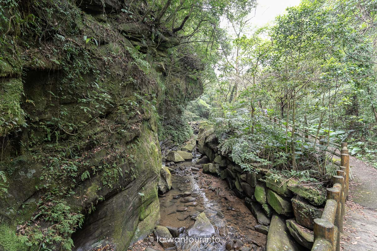 【暖東峽谷】基隆親子景點暖暖健行玩水秘境