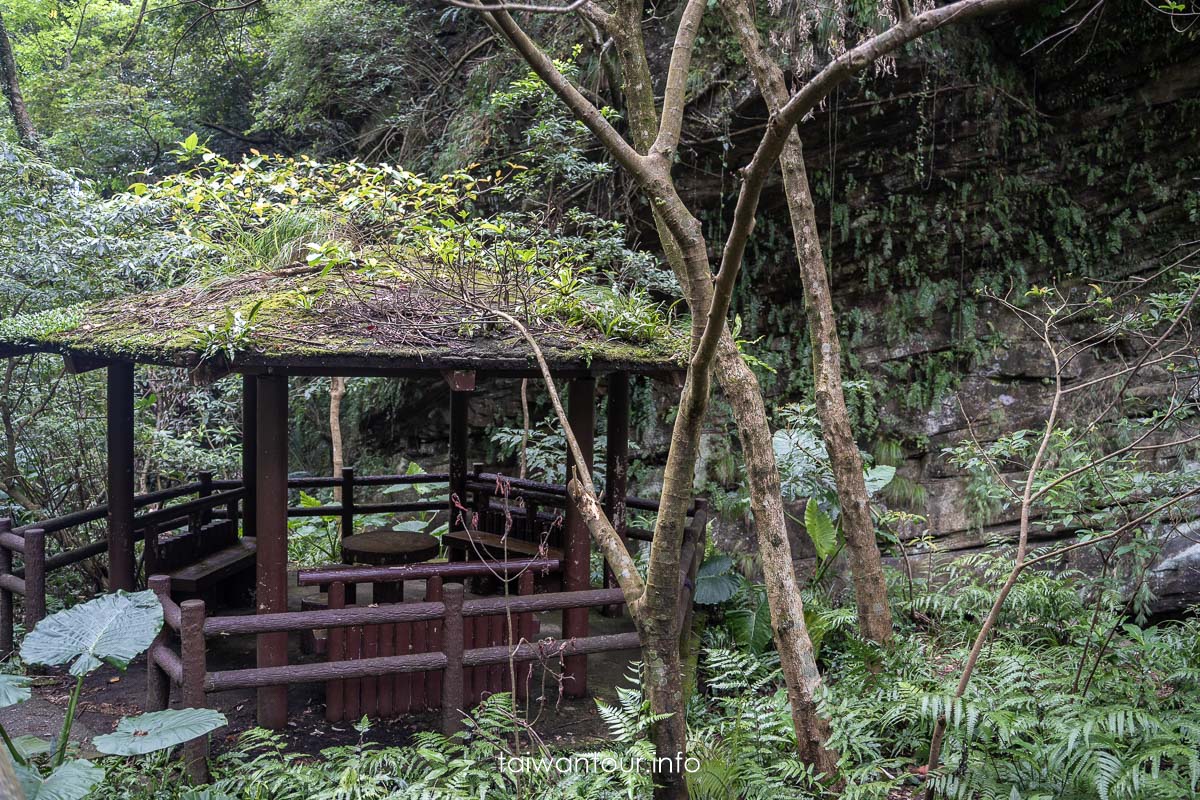 【暖東峽谷】基隆親子景點暖暖健行玩水秘境