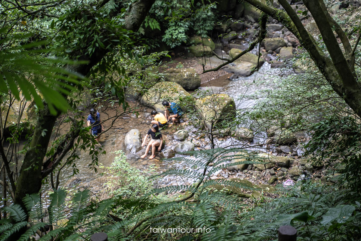 【暖東峽谷】基隆親子景點暖暖健行玩水秘境