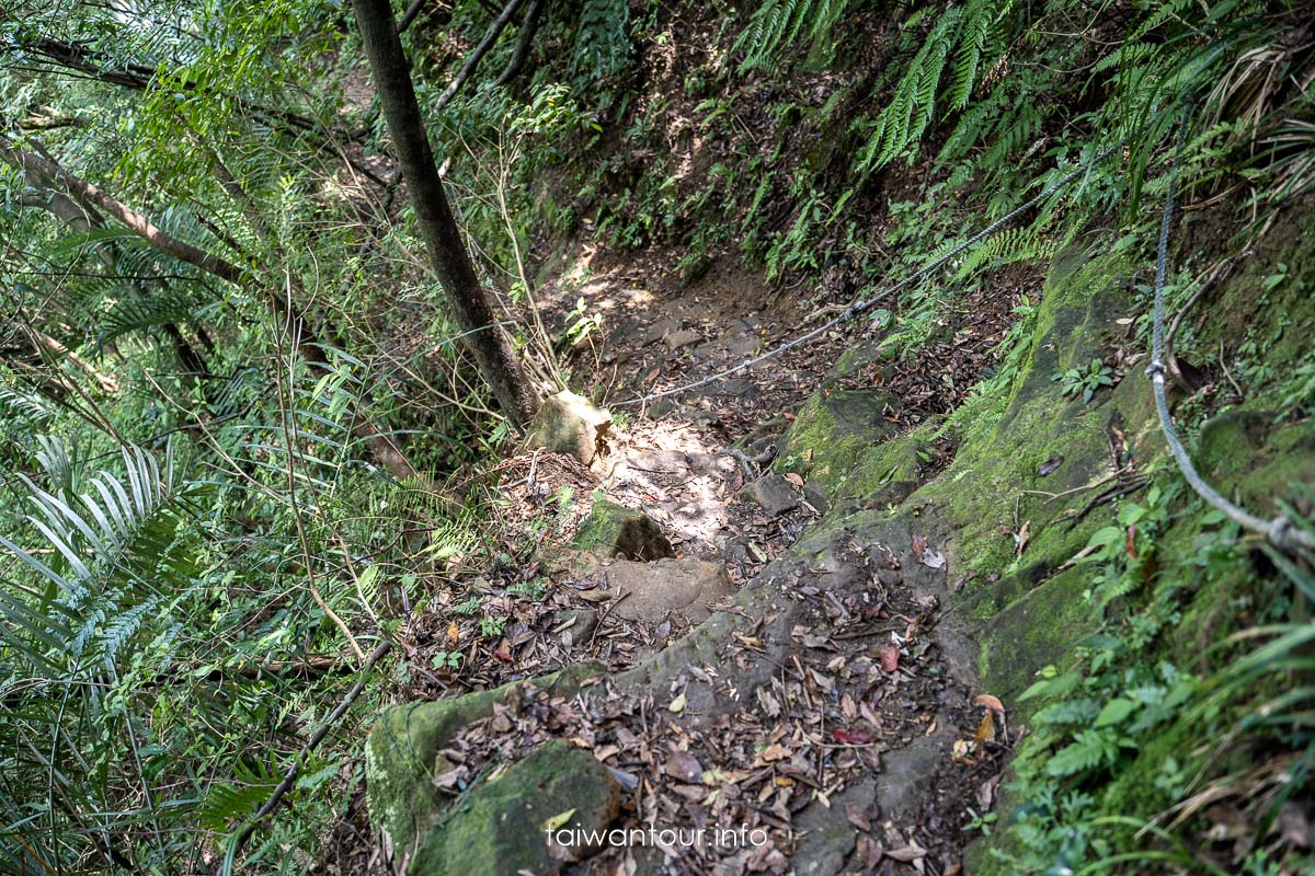 【暖東峽谷】基隆親子景點暖暖健行玩水秘境