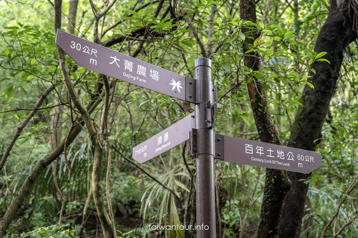 【暖東峽谷】基隆親子景點暖暖健行玩水秘境