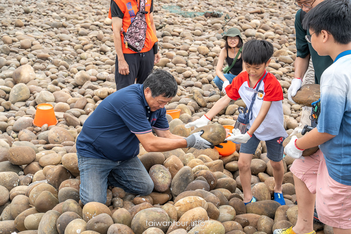 【新屋石滬群.漂流木公園】桃園綠色走廊.交通.停車場