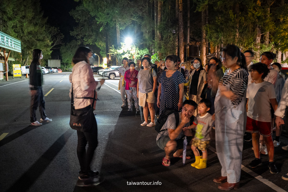 【金台灣山莊民宿】南投鹿谷溪頭住宿推薦