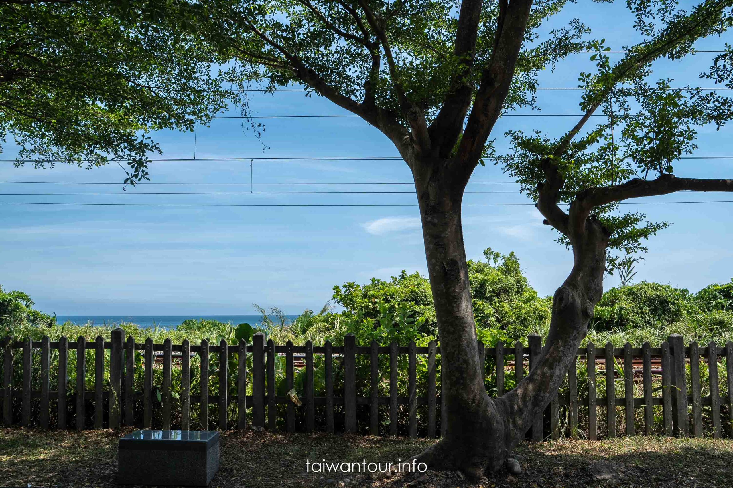 【九號石城咖啡館】宜蘭頭城海景咖啡廳.寵物友善