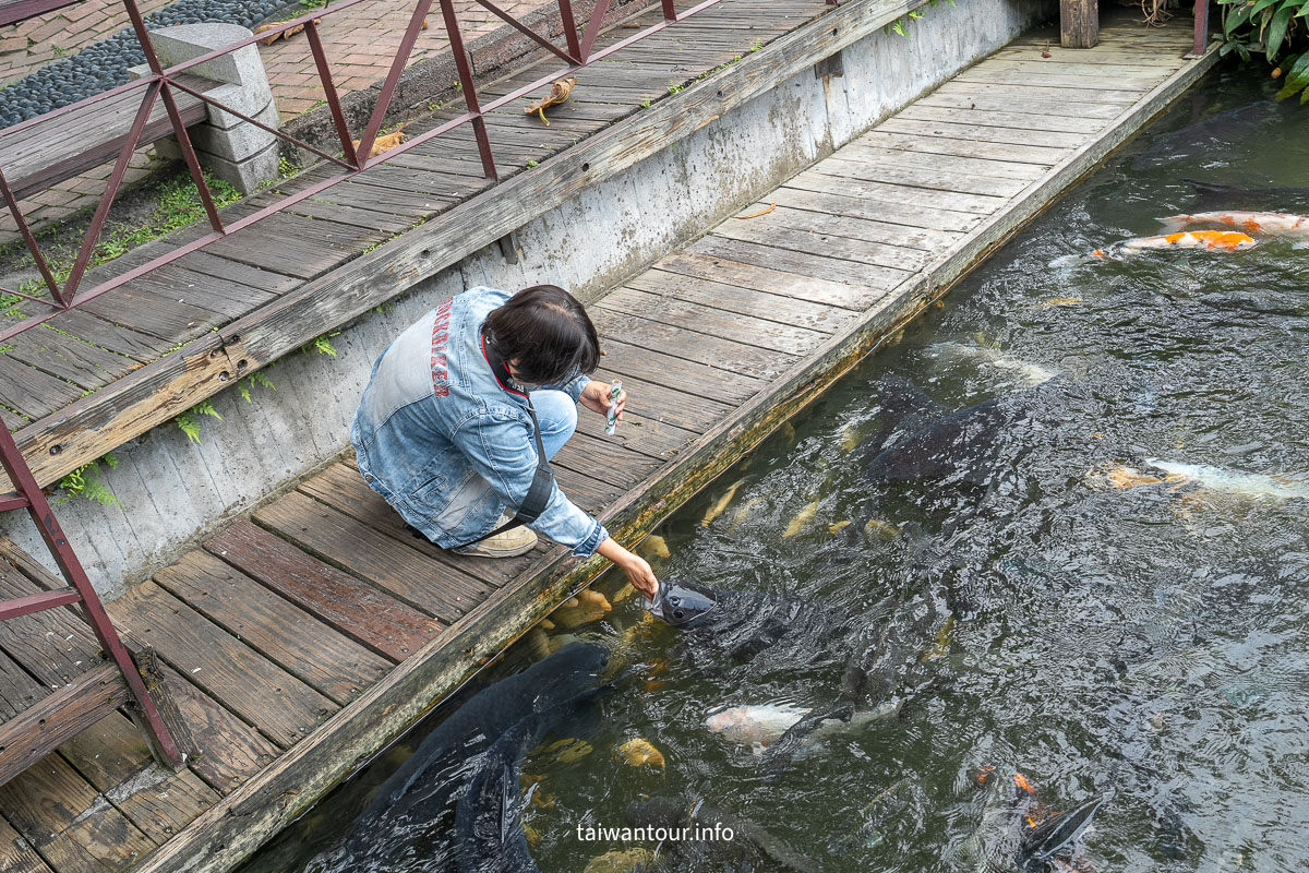 【立川漁場．五魚二餅】摸蜆仔兼洗褲+蜆仔霜淇淋花蓮景點推薦