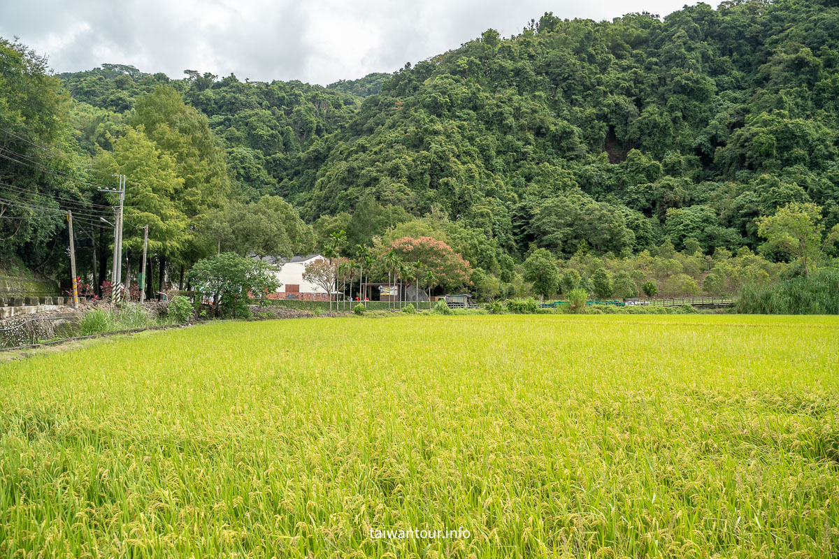 【花蓮玉里安通兩泉騎美低碳旅遊】三天兩夜美食景點推薦