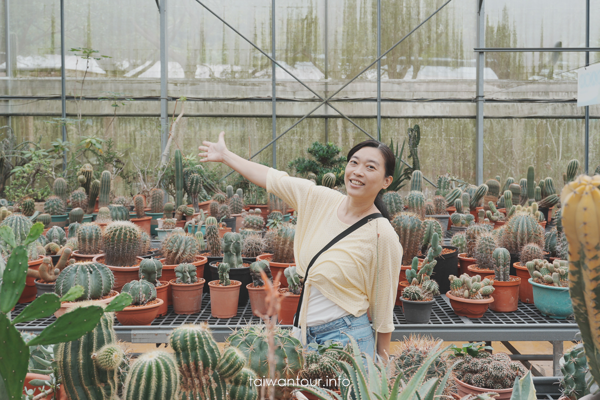 【福祥仙人掌多肉植物園】新埔親子半日遊怎麼玩