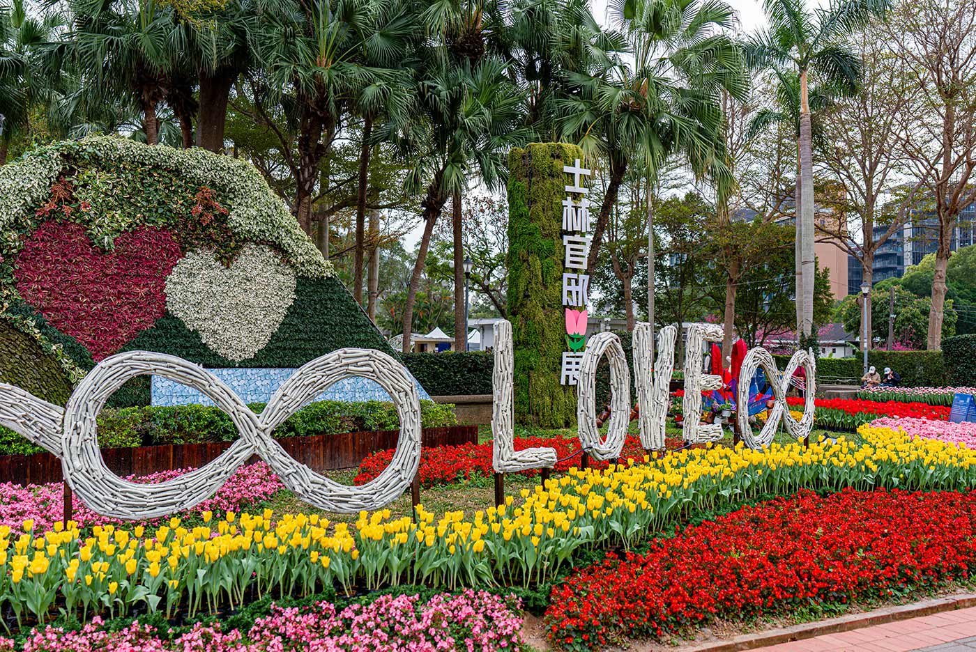 2026【士林官邸鬱金香展】2月26日~3月8日.交通