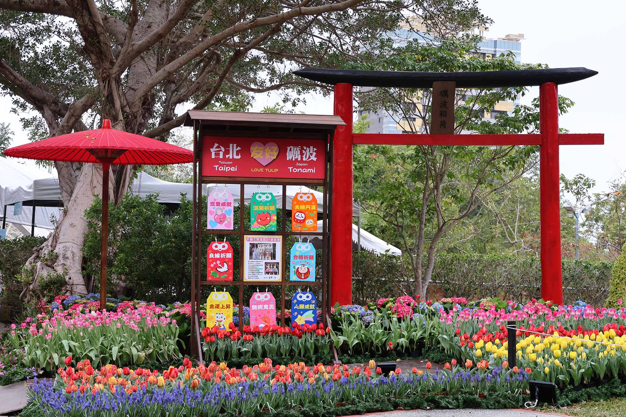 2026【士林官邸鬱金香展】2月26日~3月8日.交通