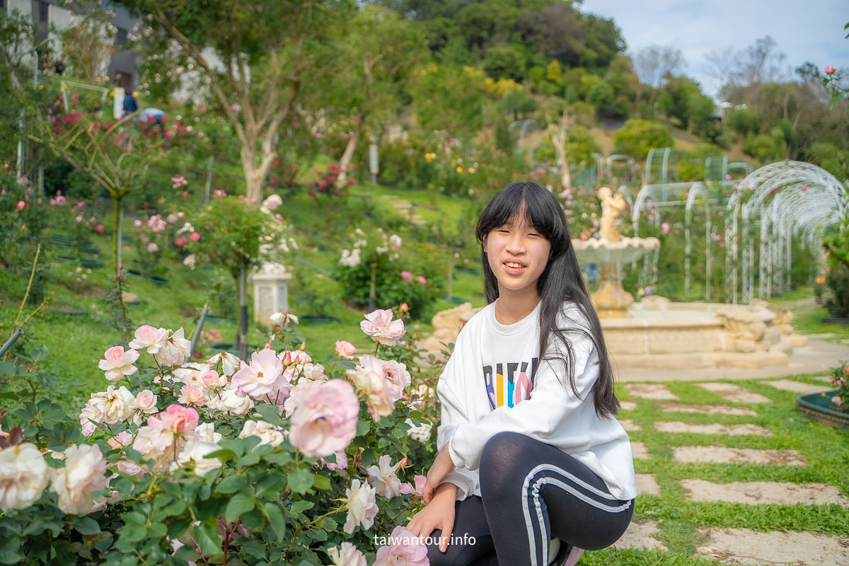 【苗栗雅聞七里香玫瑰森林】免費網美景點.美食推薦