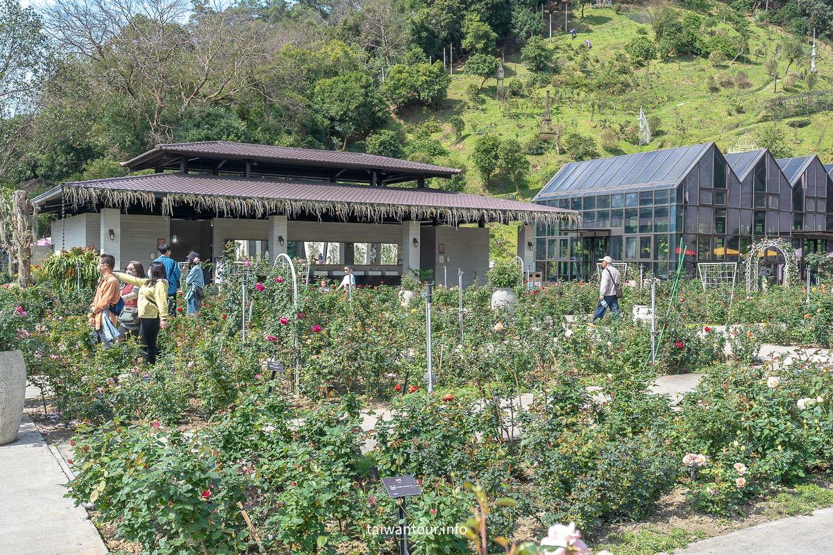 【苗栗雅聞七里香玫瑰森林】免費網美景點.美食推薦