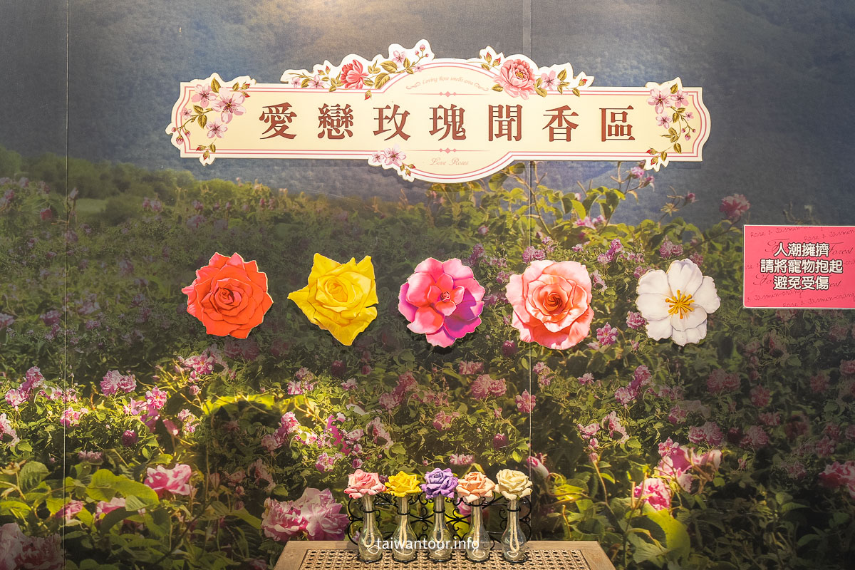 【苗栗雅聞七里香玫瑰森林】免費網美景點.美食推薦