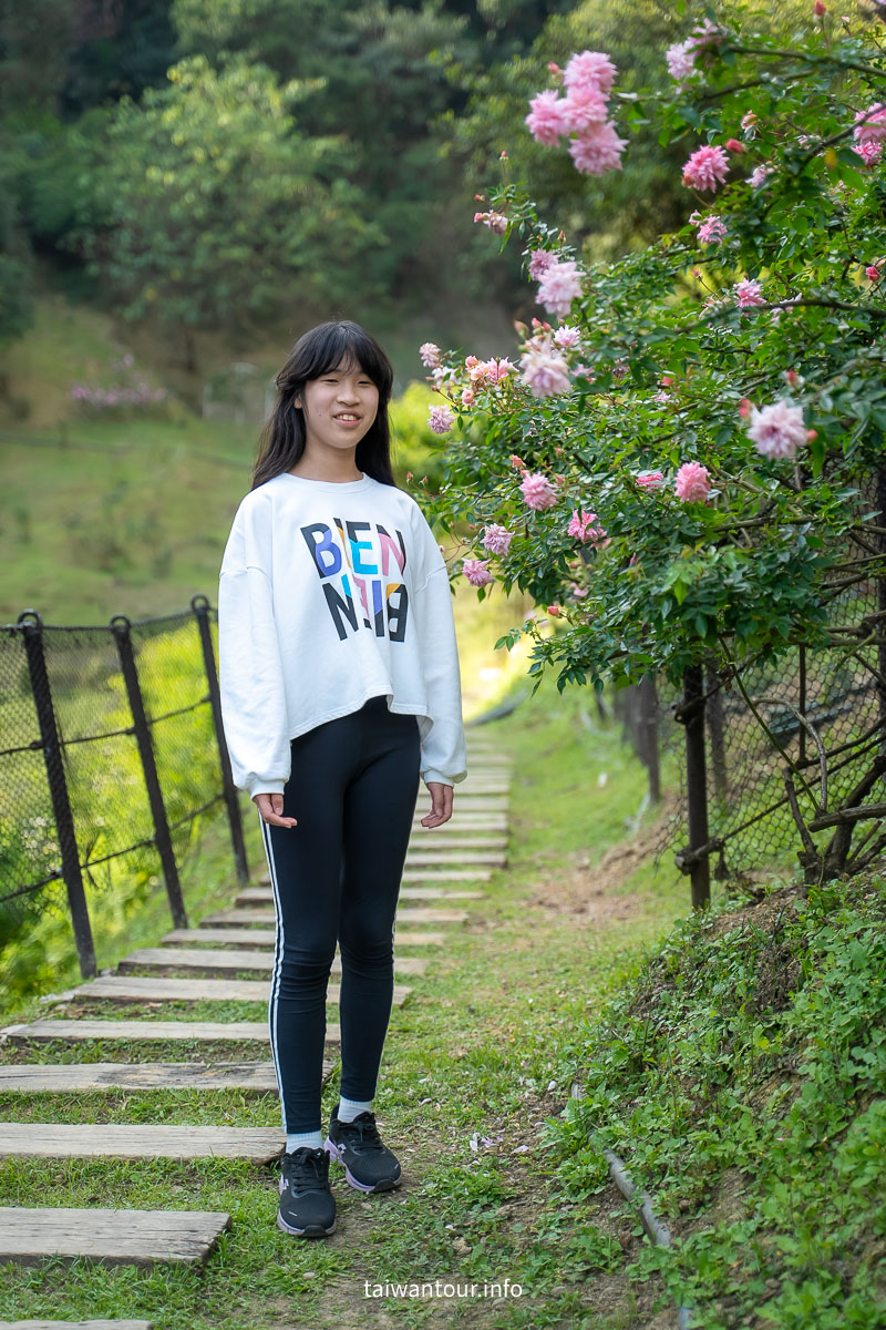 【苗栗雅聞七里香玫瑰森林】免費網美景點.美食推薦