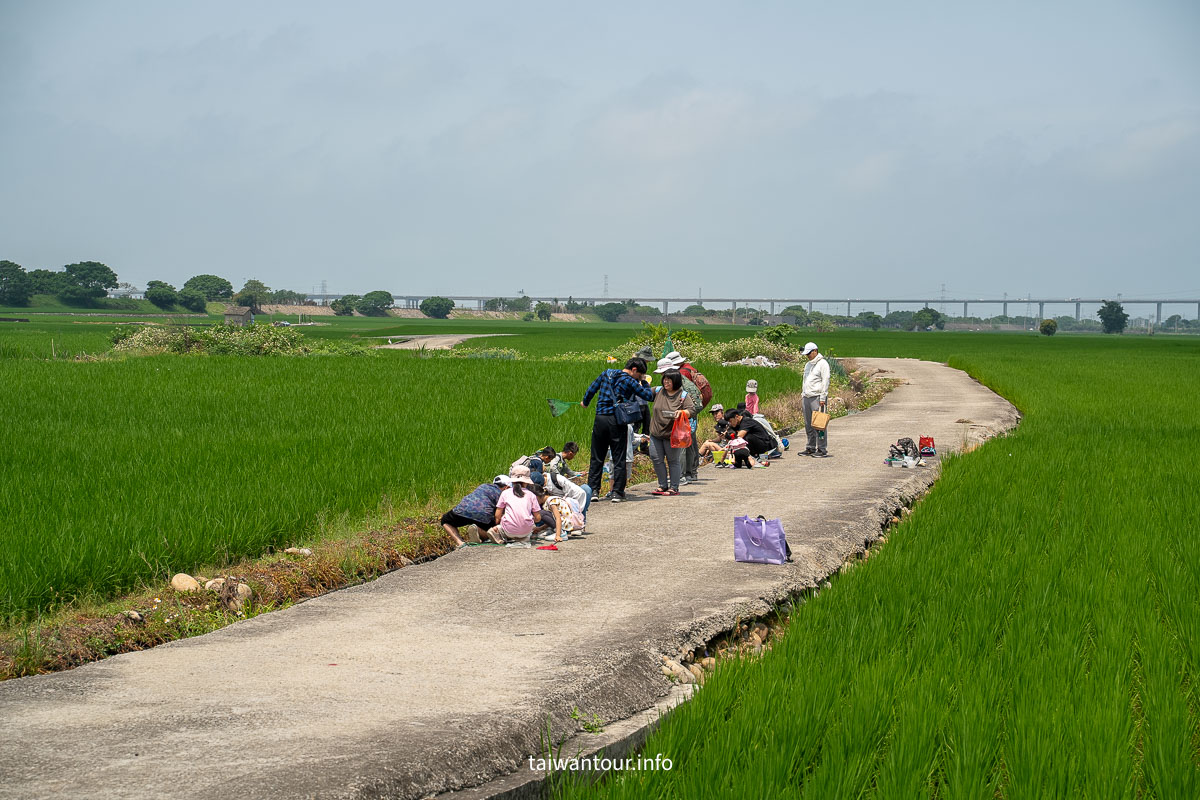 【外埔忘憂谷】台中親子景點推薦.腳踏車.季節
