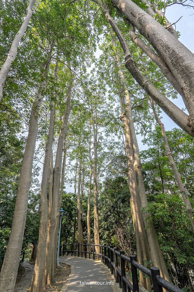 【嘉穗公園】中和全新森林健身房特色公園