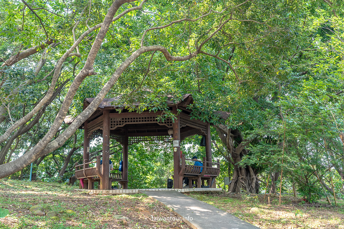 【嘉穗公園】中和全新森林健身房特色公園