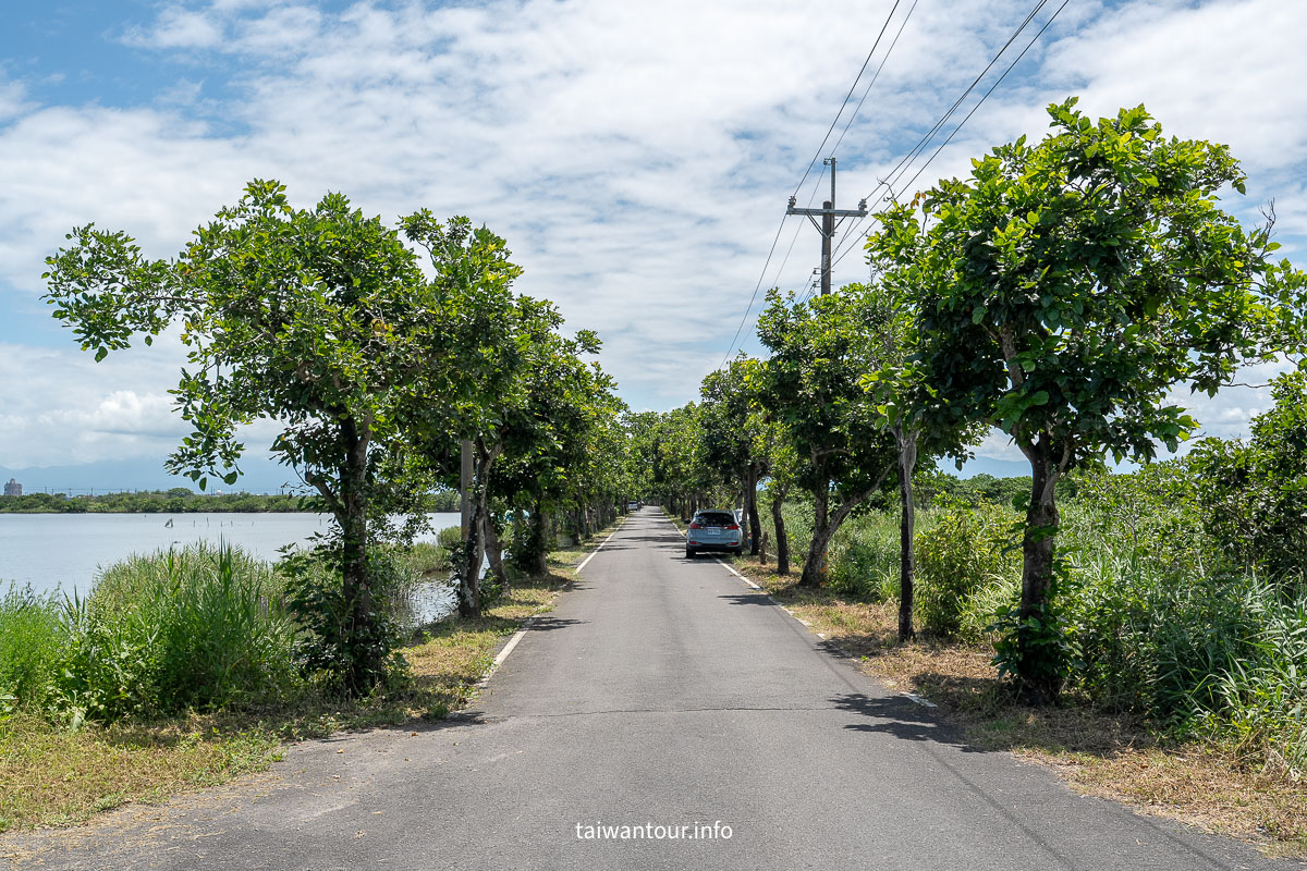 【下埔綠色隧道/四十甲溼地】宜蘭自行車親子步道