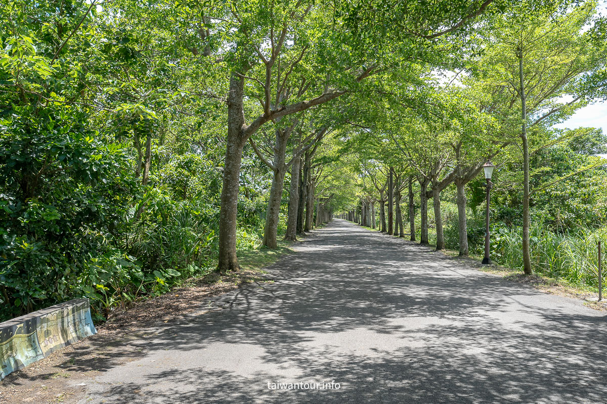 【下埔綠色隧道/四十甲溼地】宜蘭自行車親子步道