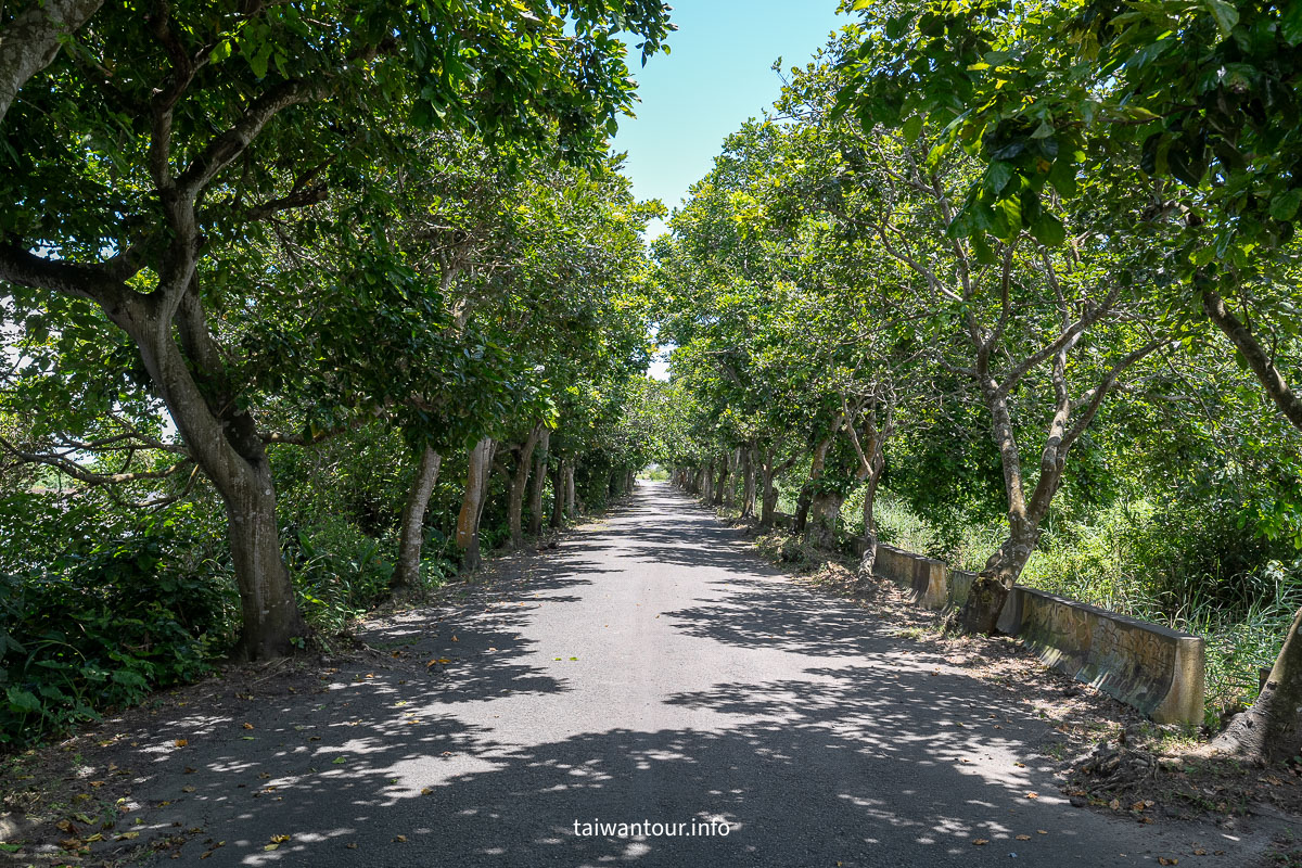 【下埔綠色隧道/四十甲溼地】宜蘭自行車親子步道