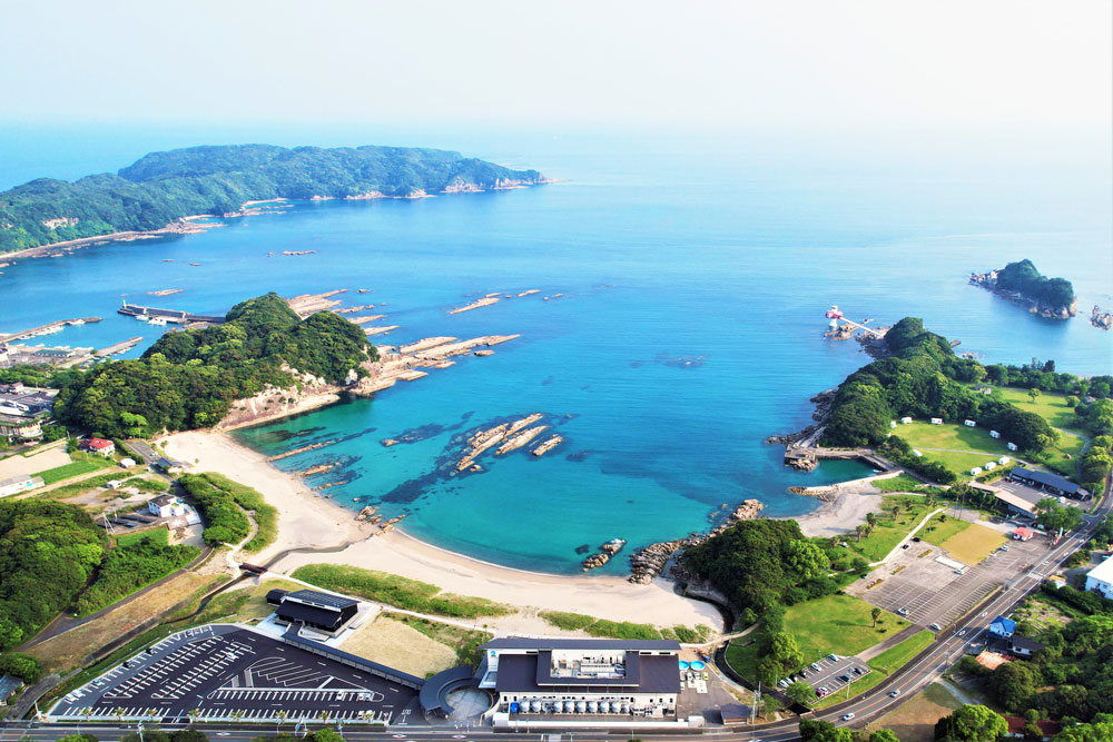 【2025日本高知市深度旅遊一日遊】自由行美食景點推薦