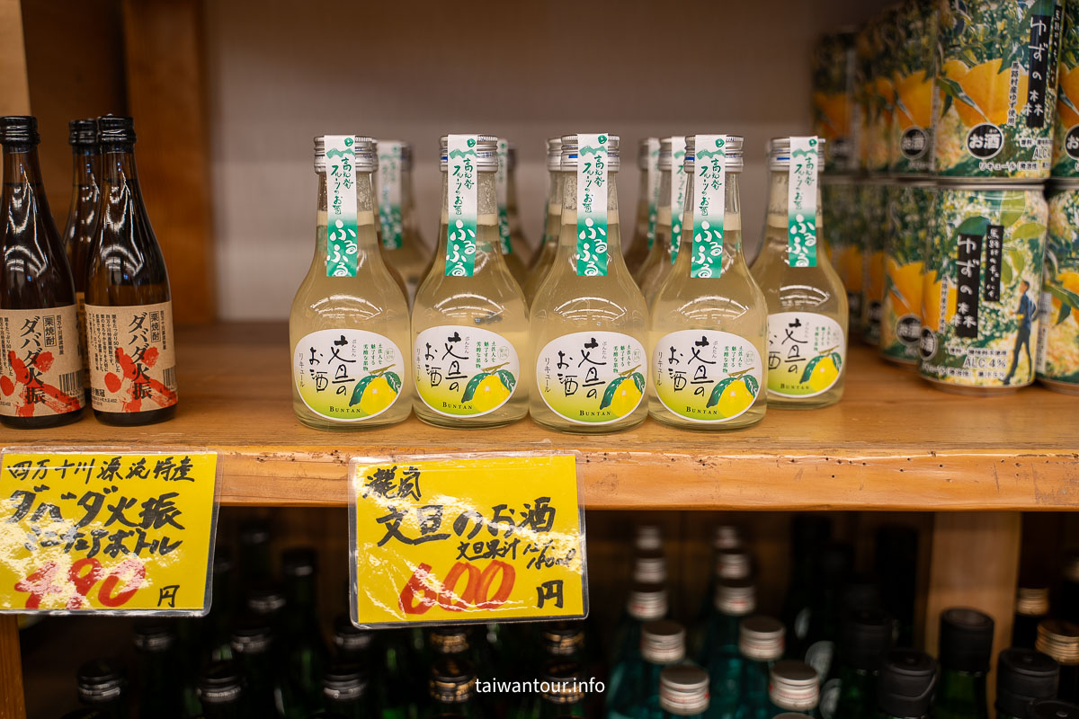 【2025日本高知市深度旅遊一日遊】自由行美食景點推薦