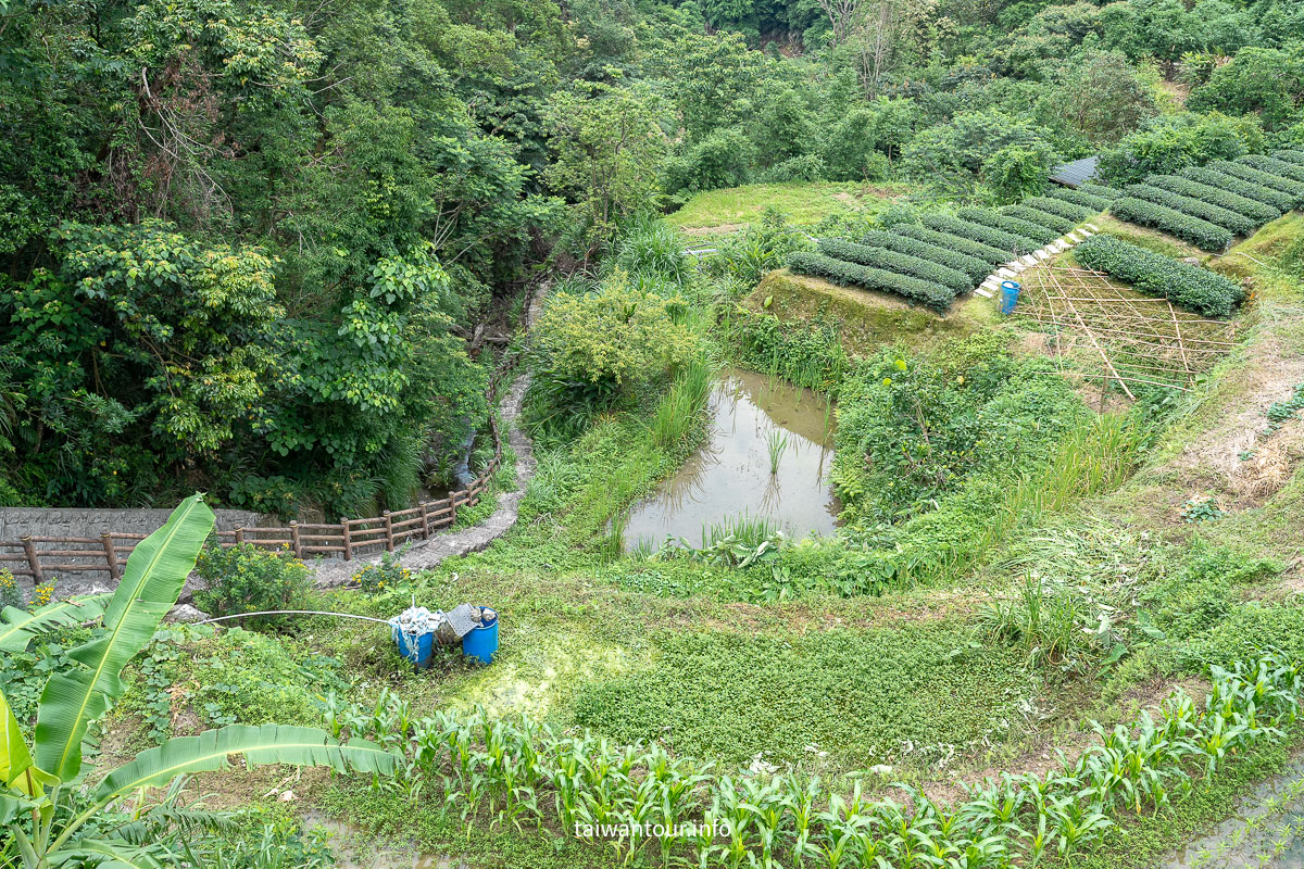 【貓空茶香環狀步道】木柵文山親子景點推薦