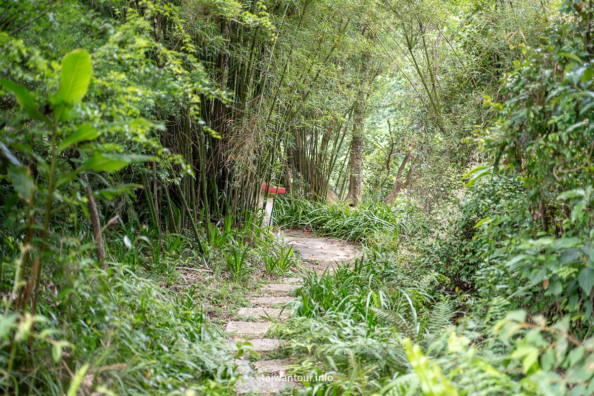 【貓空茶香環狀步道】木柵文山親子景點推薦