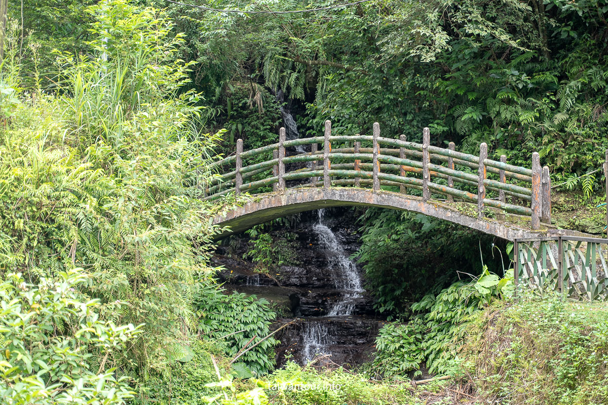 【貓空茶香環狀步道】木柵文山親子景點推薦