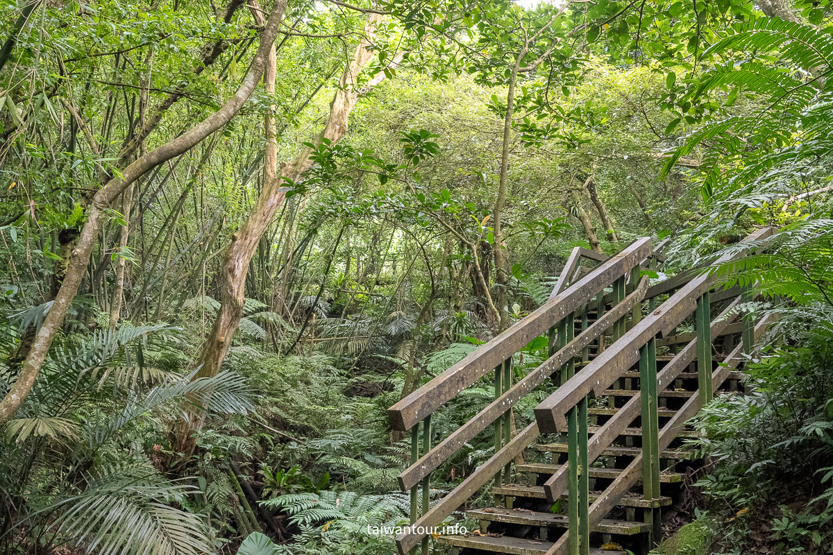 【貓空茶香環狀步道】木柵文山親子景點推薦