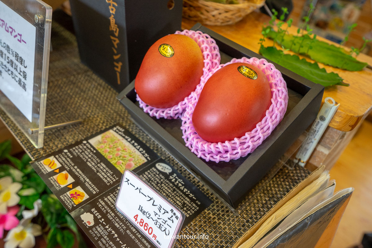 【烏托邦農場Utopia Farm】日本宮古島沖繩秘境