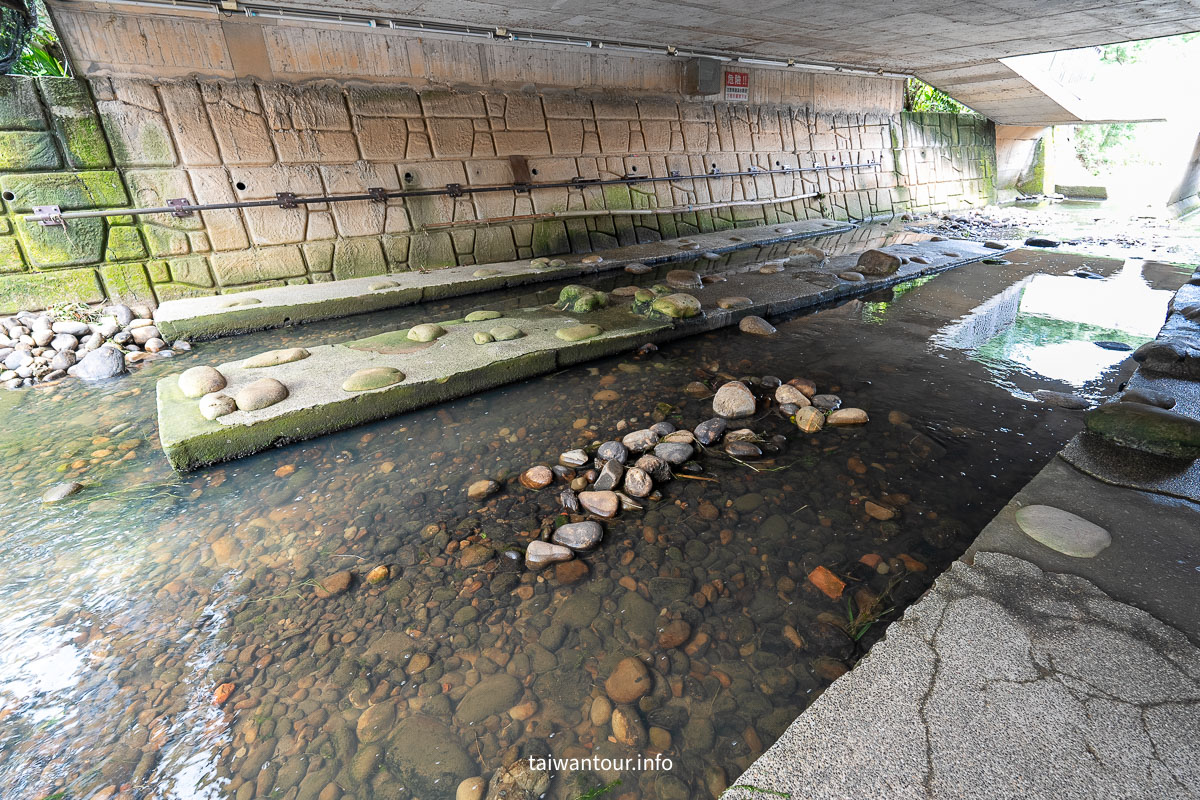 【沙鹿南勢溪湧泉】台中親子玩水景點