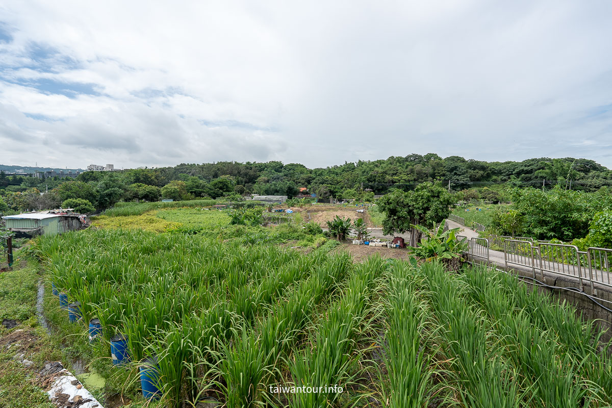 【沙鹿南勢溪湧泉】台中親子玩水景點