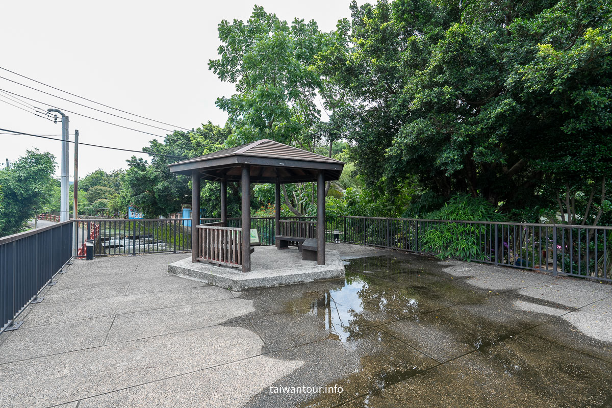 【沙鹿南勢溪湧泉】台中親子玩水景點